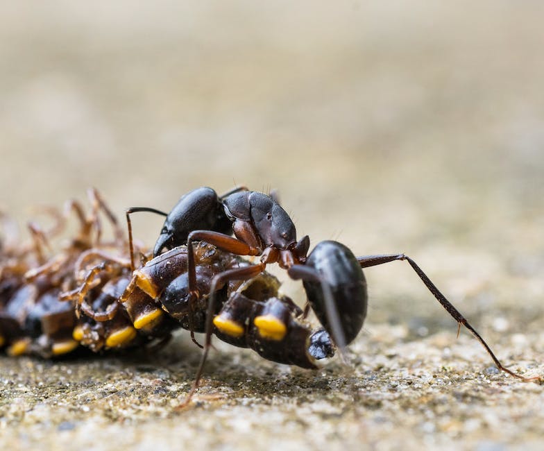 Image of centipedes in a biblical landscape, symbolizing the interplay of science, history, theology, and nature.