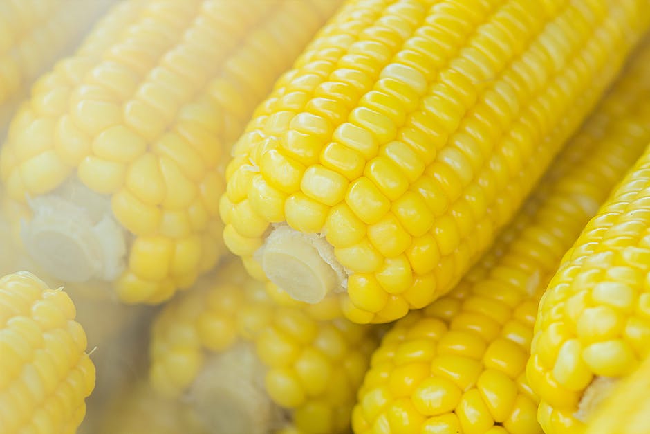 Representation of corn symbolizing fertility, abundance, and spiritual growth