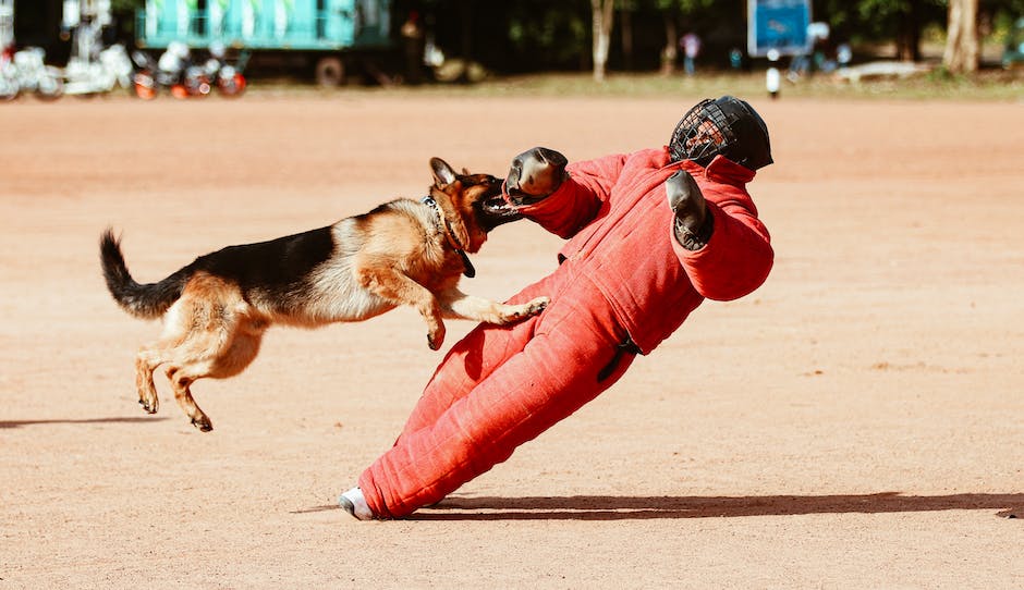 Image depicting the psychological implications of dreams involving dog attacks