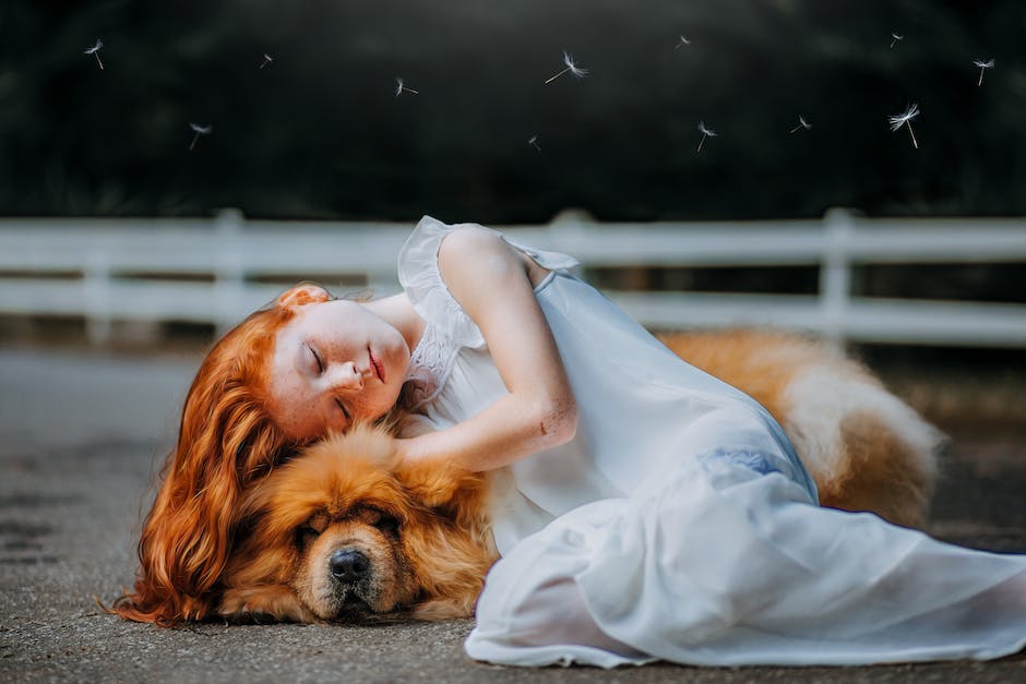 Image of a person sleeping with various images of dogs representing dreams, symbolizing the integration of theology and psychology in dream interpretation