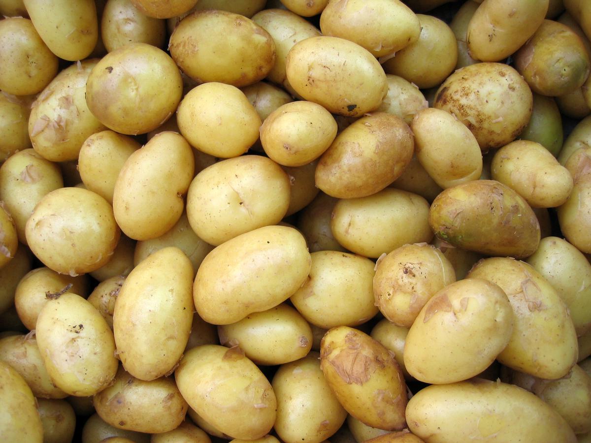 Image depicting the different symbolic meanings of potatoes in various cultures