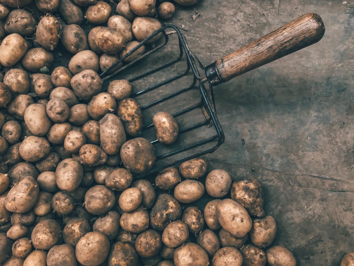 An image of a pile of potatoes, symbolizing their importance as dream symbols.
