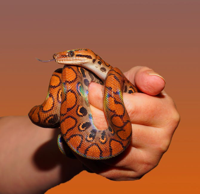 Image depicting various snakes intertwined with biblical imagery, representing the nuanced symbolism of snakes in biblical literature for the visually impaired.